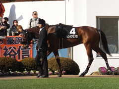 20140118 中山競馬場 ツクバアスナロ 08