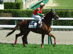 20180317 中山6R 3歳未勝利 リベラシオン 14