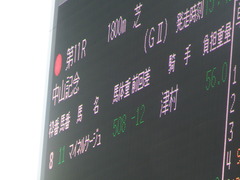 20190224 中山11R 中山記念(G2) マイネルサージュ 01