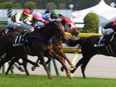 20170429 東京9R 秩父特別(1000) レーヌドブリエ 24