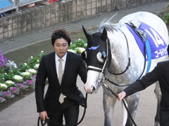 20131222 有馬記念 ゴールドシップ 02