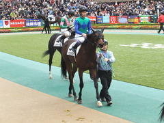 20141130 東京3R 2歳未勝利 トーセンカナロア 11