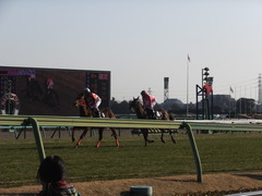 20140118 中山競馬場 ツクバアスナロ 15
