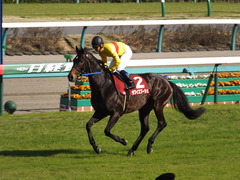 20150328 中山11R 日経賞(G2) ラブイズブーシェ 12
