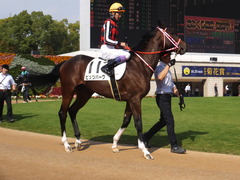 20151024 京都5R 2歳メイクデビュー ピッツバーグ 13