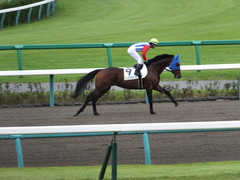 20150927 中山3R 3歳未勝利 タニオブキャップ 12