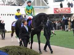 20141228 中山10R 有馬記念 サトノノブレス 05