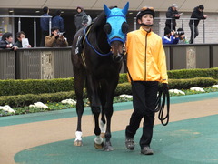 20160130 東京10R クロッカスS モーゼス 03