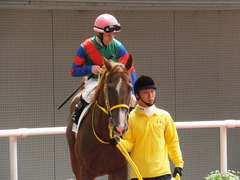 20150404 阪神5R 3歳上500万下 テイケイラピッド 07