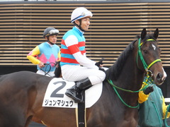 20170408 中山5R 3歳未勝利 ジュンマシュウ 17