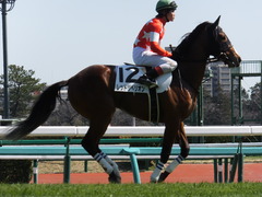 20140308 中山6R レッドリベリオン 14