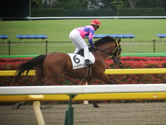 20190427 東京12R (1000) ノーモアゲーム 19