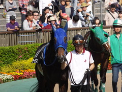 20160507 東京11R プリンシパルS モーゼス 10