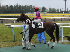 20131026 新潟 カシノペンダント 1
