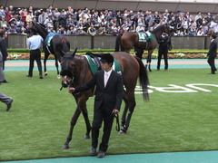ツクバアスナロ14