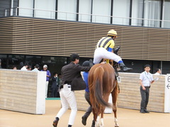 20161001 中山10R 習志野特別 アッシュゴールド 12