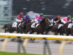 20161022 東京12R (1000) ノーモアゲーム 19