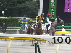 20160612 東京12R 3歳上500万下 ノーブルクリスタル 13
