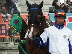20181124 東京3R 2歳未勝利 ストレートパンチ 07