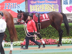 20181104 東京11R AR共和国杯(G2) ホウオウドリーム 06