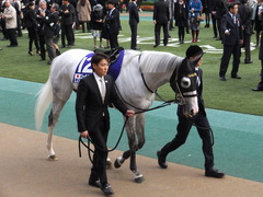 20151129 東京11R ジャパンカップ(G1) 06