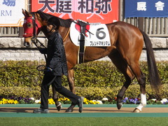 20150221 東京1R 3歳未勝利 フレンドマキシマム 02