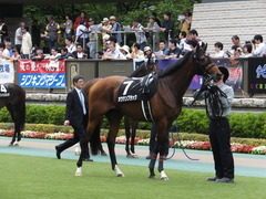 20140517東京9R オウケンブラック 08