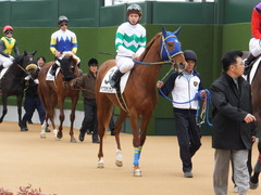 20150315 中山5R 3歳未勝利 07