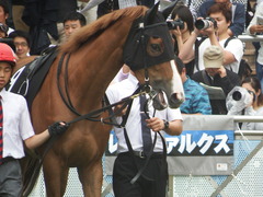 20180930 中山9R サフラン賞 2歳牝馬500万下 ポリアンサ 13
