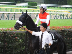 20161010 東京10R オクトーバーS(1600) ショウナンラグーン 25
