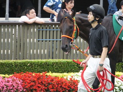 20150627 東京8R 東京JS(JG3) メジロサンノウ 04