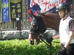 20190511 東京10R 緑風S (1600) ヴァントシルム 10