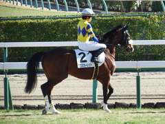 20171228 中山3R 2歳未勝利 ロジスカーレット 13