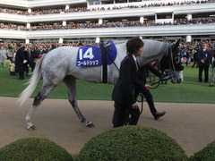 20141228 中山10R 有馬記念 ゴールドシップ 05
