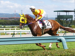 20150920 阪神7R 3歳上500万下 イサチルホープ 10