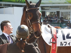 20180325 中山1R 3歳未勝利 ルフィーナ 08