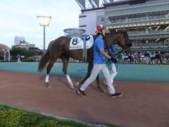20140815 大井6R ライトハーティド 01