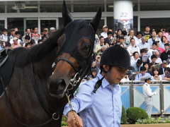 20150927 中山9R 芙蓉S プロディガルサン 06