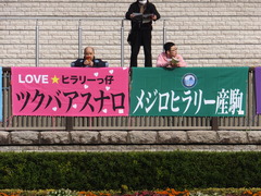 20161127 東京8R シャングリラ賞 ツクバアスナロ 01