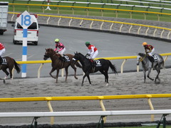 20150628 東京11R パラダイスS ショウナンアチーヴ 14