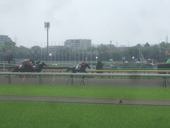 DSCF9726