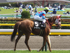 20170527 東京10R 葉山特別(1000) レーヌドブリエ 22