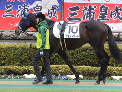 20160130 東京4R 3歳未勝利 アタンドリール 09
