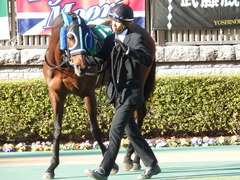 20170217 東京11R ダイヤモンドS(G3) トレジャーマップ 05