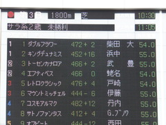 20141130 東京3R 2歳未勝利 トーセンカナロア 16