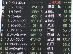 20170618 東京7R 33歳上500万下 ホウオウマリリン 01