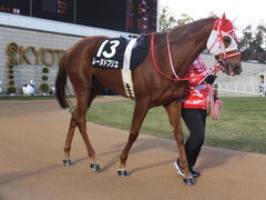 20170114 京都10R 北大路特別 4歳上牝馬1000万下 レーヌドブリエ 13
