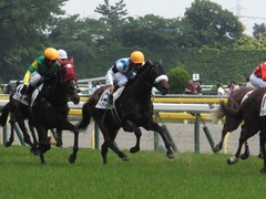 20160529 東京6R 3歳500万下 アークアーセナル 18