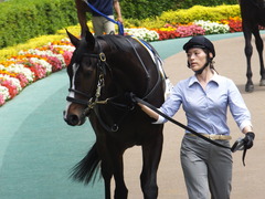 20160514 東京5R 3歳牝馬未勝利 ツボミ 07