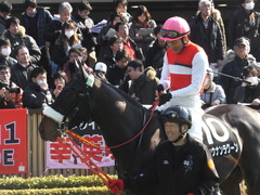20140223 東京9R ショウナンラグーン 09